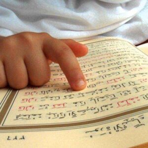 Level 4: Hifz Program (Optional – student choice)