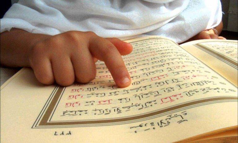 Level 4: Hifz Program (Optional – student choice